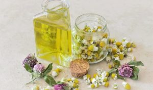 Essential Tools And Accessories For Car Maintenance At Home Essential Tools And Accessories For Car Maintenance At Home