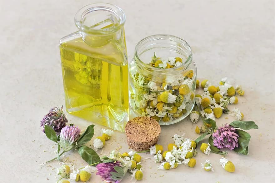 Leaf, mint, herb, healthy, food, oil, essential oils, nutrition ... Leaf, mint, herb, healthy, food, oil, essential oils, nutrition ...