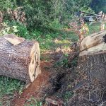 Top 10 Websites For Affordable Car Accessories In 2025