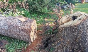 Top 10 Websites For Affordable Car Accessories In 2025