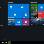 How To Start An Online Pet Supply Business And Attract Buyers