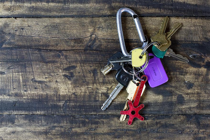 কোডাকে কু-ডাক | nasir khan writes কোডাকে কু-ডাক | nasir khan writes