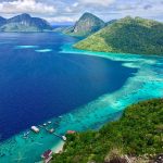 Best Online Stores To Buy Pet Products Safely In 2025