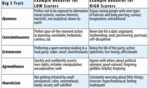 High Demand Pet Food and Health Products Selling Fast Online