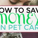 How To Save Money When Shopping For Pet Products Online