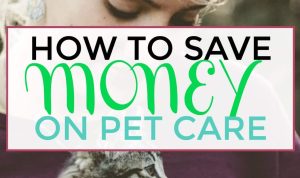How To Save Money When Shopping For Pet Products Online