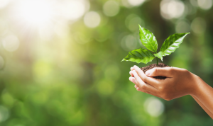 Eco Friendly Pet Care Products for Your Beloved Pets Eco Friendly Pet Care Products for Your Beloved Pets