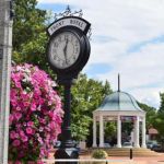 Petco Front Royal Virginia Your Pets Best Friend