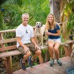 Pet sitters palm coast fl for your furry friends