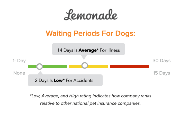 Lemonade Pet Insurance Review 2024 - DollarGeek Pink lemonade pet insurance