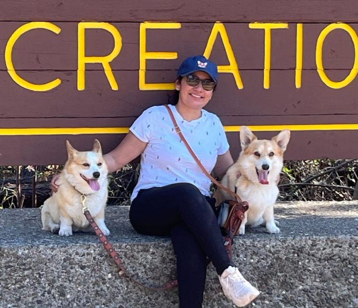 Petco lodi california