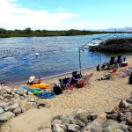 Pet friendly hotels in blythe for your furry friends