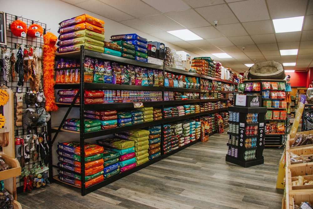 Food Pet Store Essentials for Pet Health and Happiness