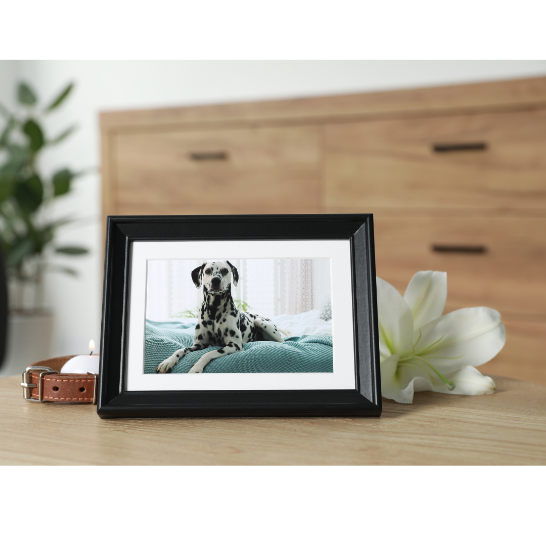 Santa Clarita Pet Cremation Pet cremation victorville ca