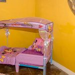 Inexpensive Pet Boarding A Guide To Budget-friendly Care