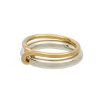 Ring and nest exploring nature design and symbolism