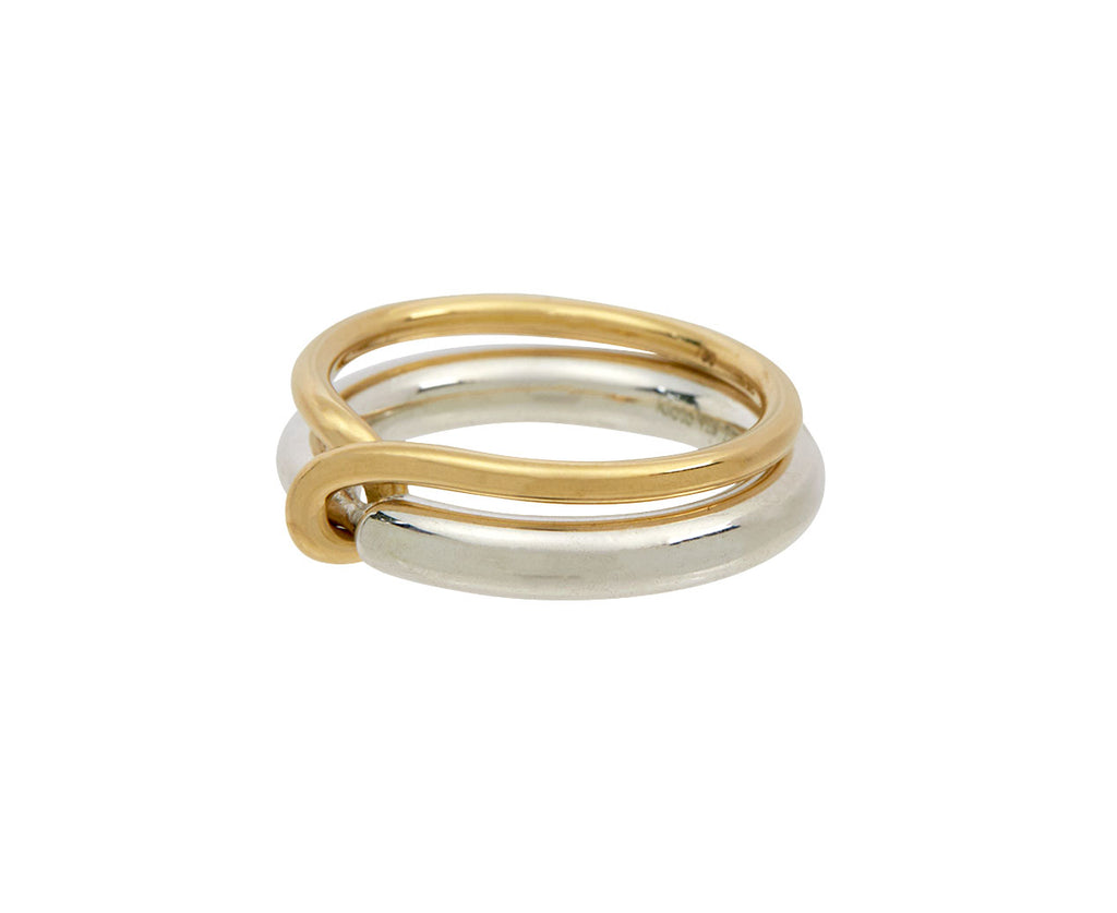 Ring and nest exploring nature design and symbolism