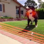 Invisible pet fence reviews a comprehensive guide