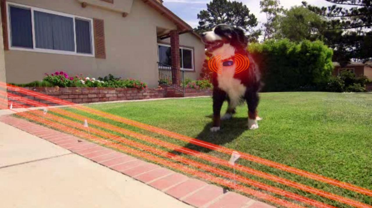 Invisible pet fence reviews a comprehensive guide